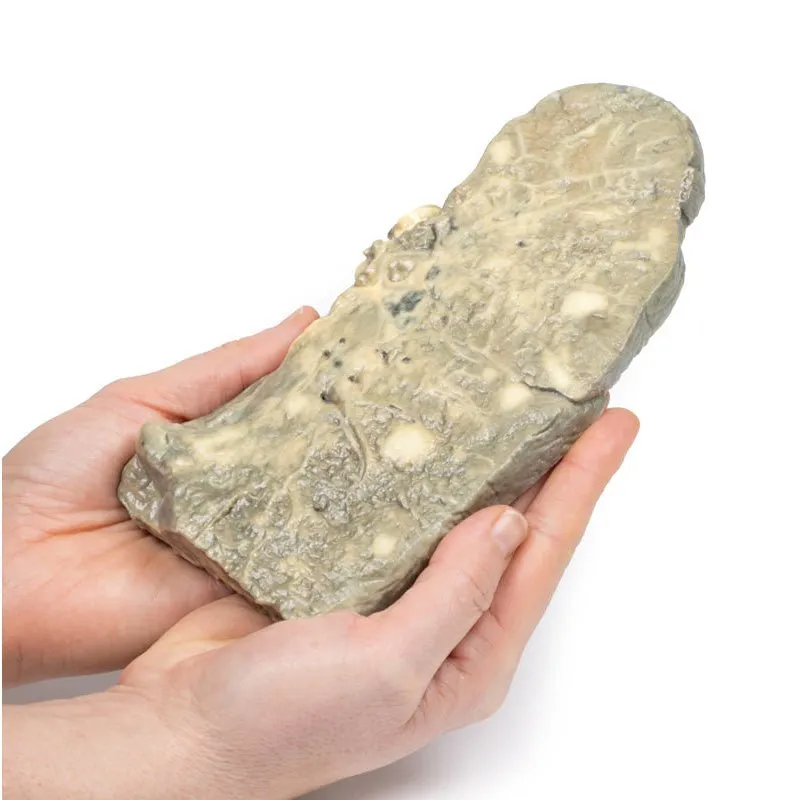 3D Printed Metastatic Carcinoma