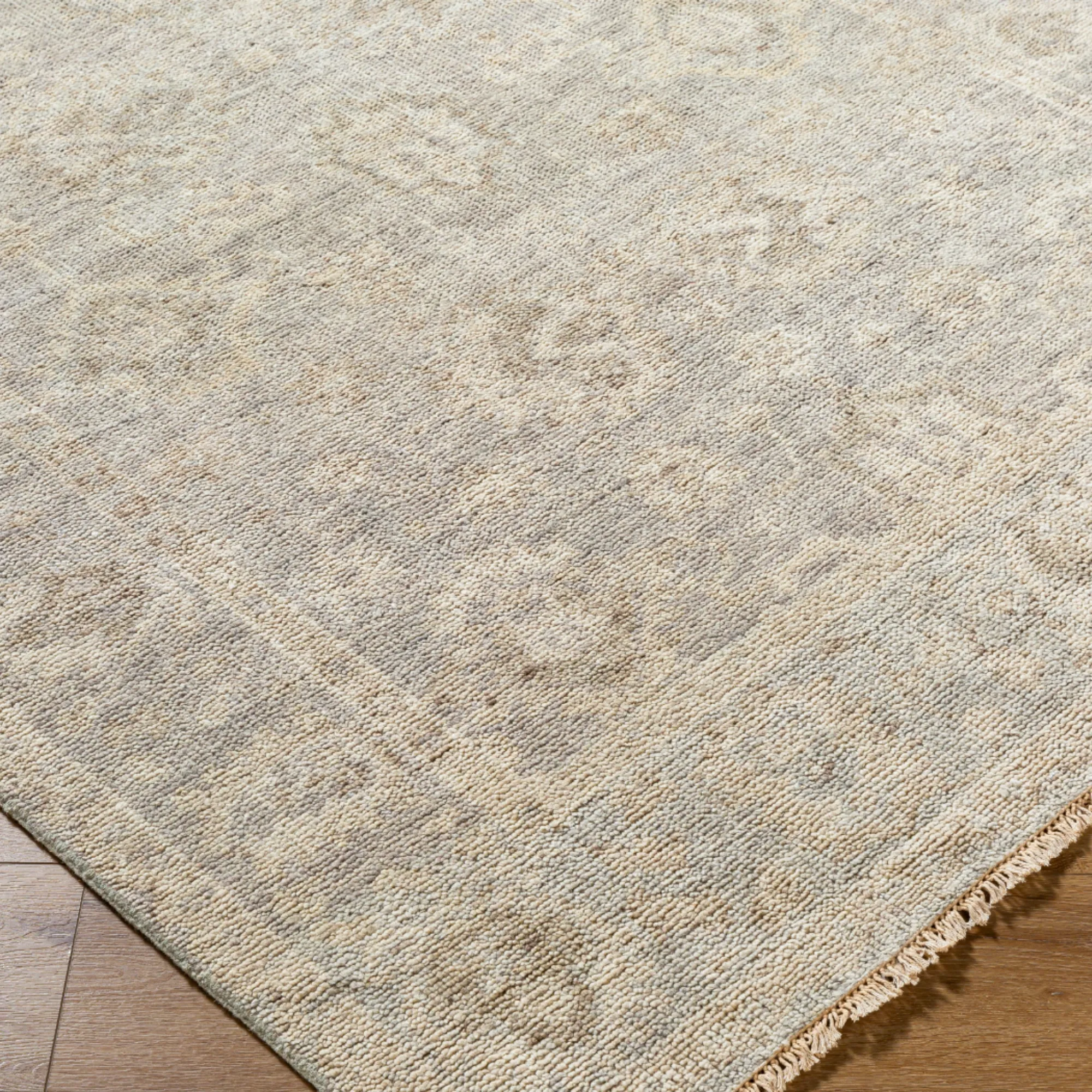 Biscayne Rug | 2313