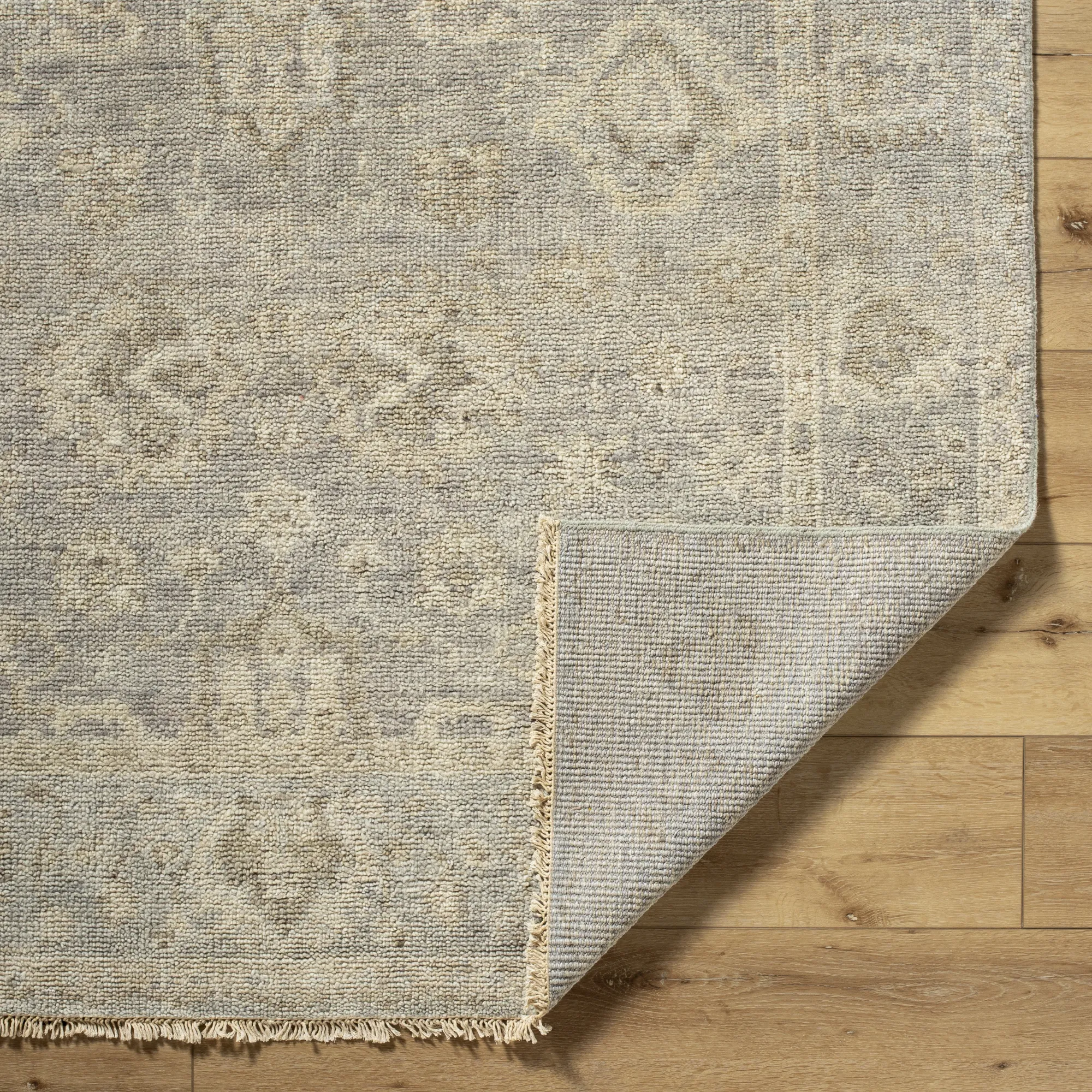 Biscayne Rug | 2313