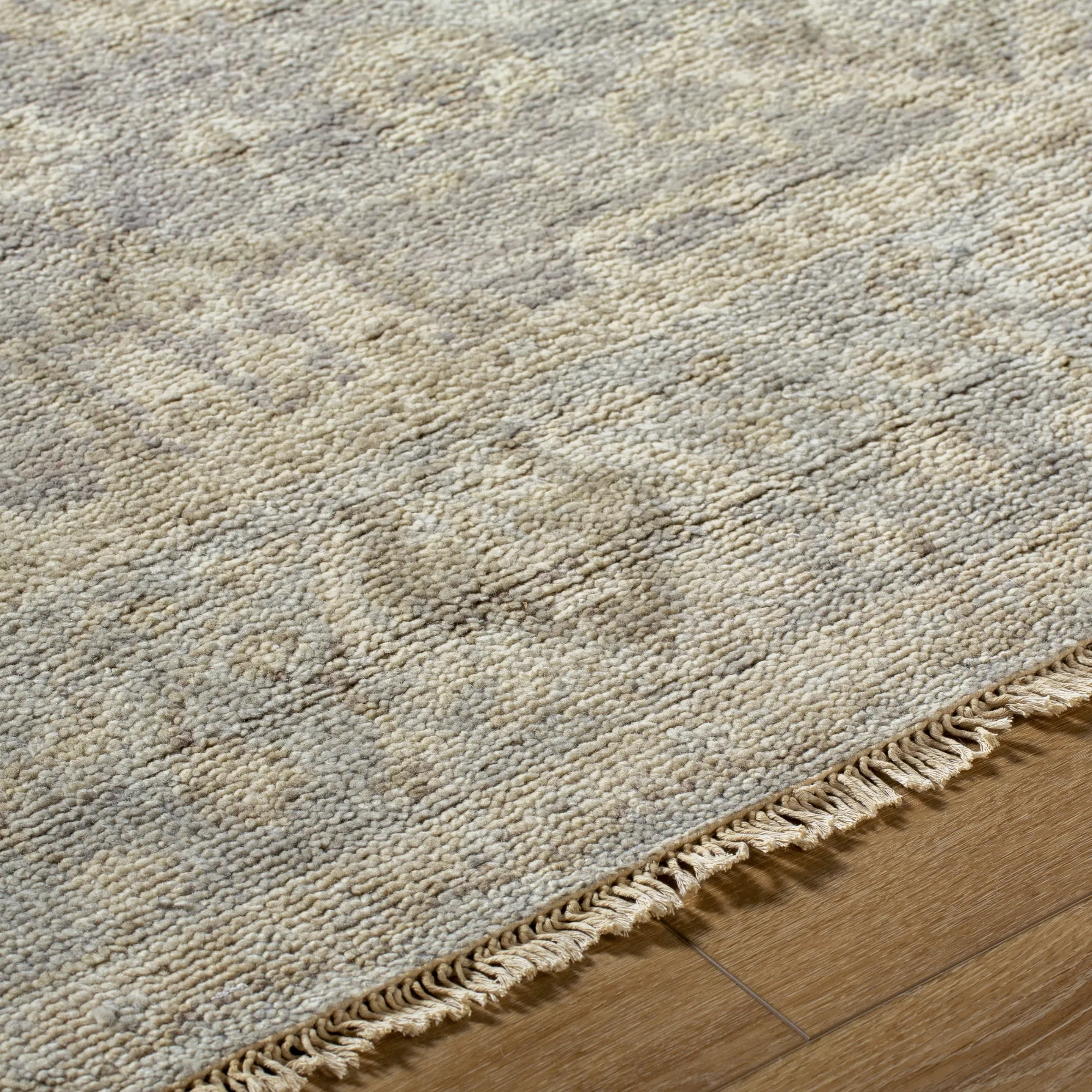 Biscayne Rug | 2313
