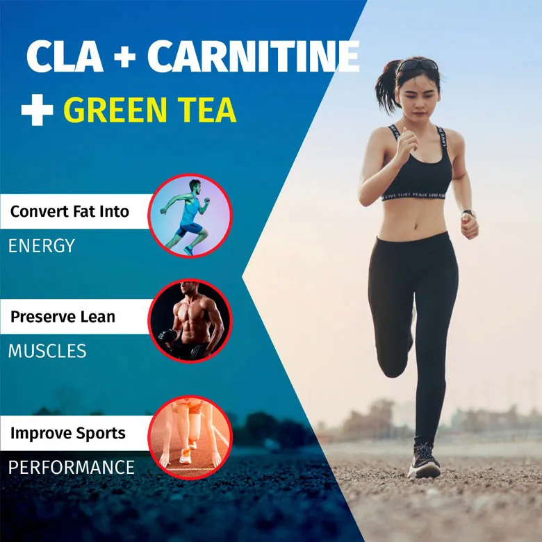 CLA Carnitine 30Servings | Pineapple Mango