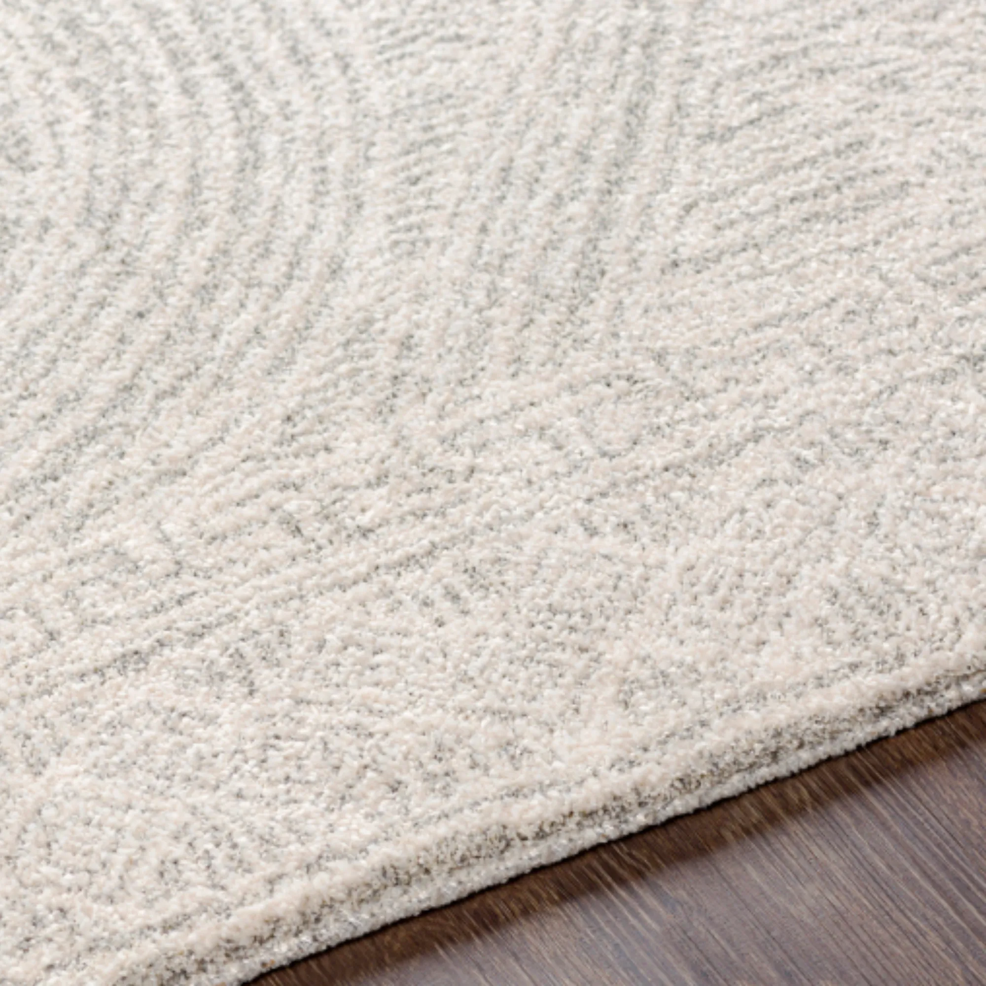 Gavic Rug | 2301
