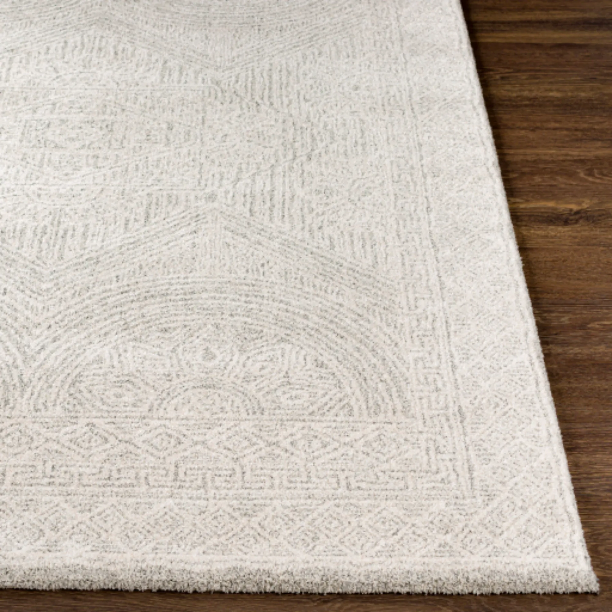 Gavic Rug | 2301