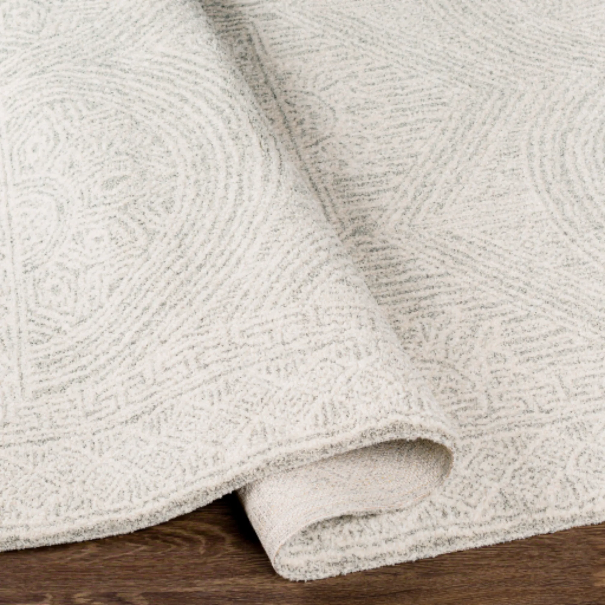 Gavic Rug | 2301