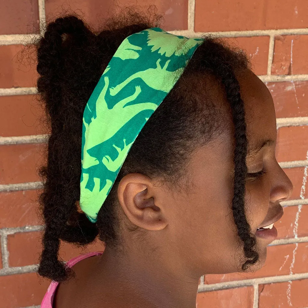 "Land Before Lime" Dinosaurs Headband - Child