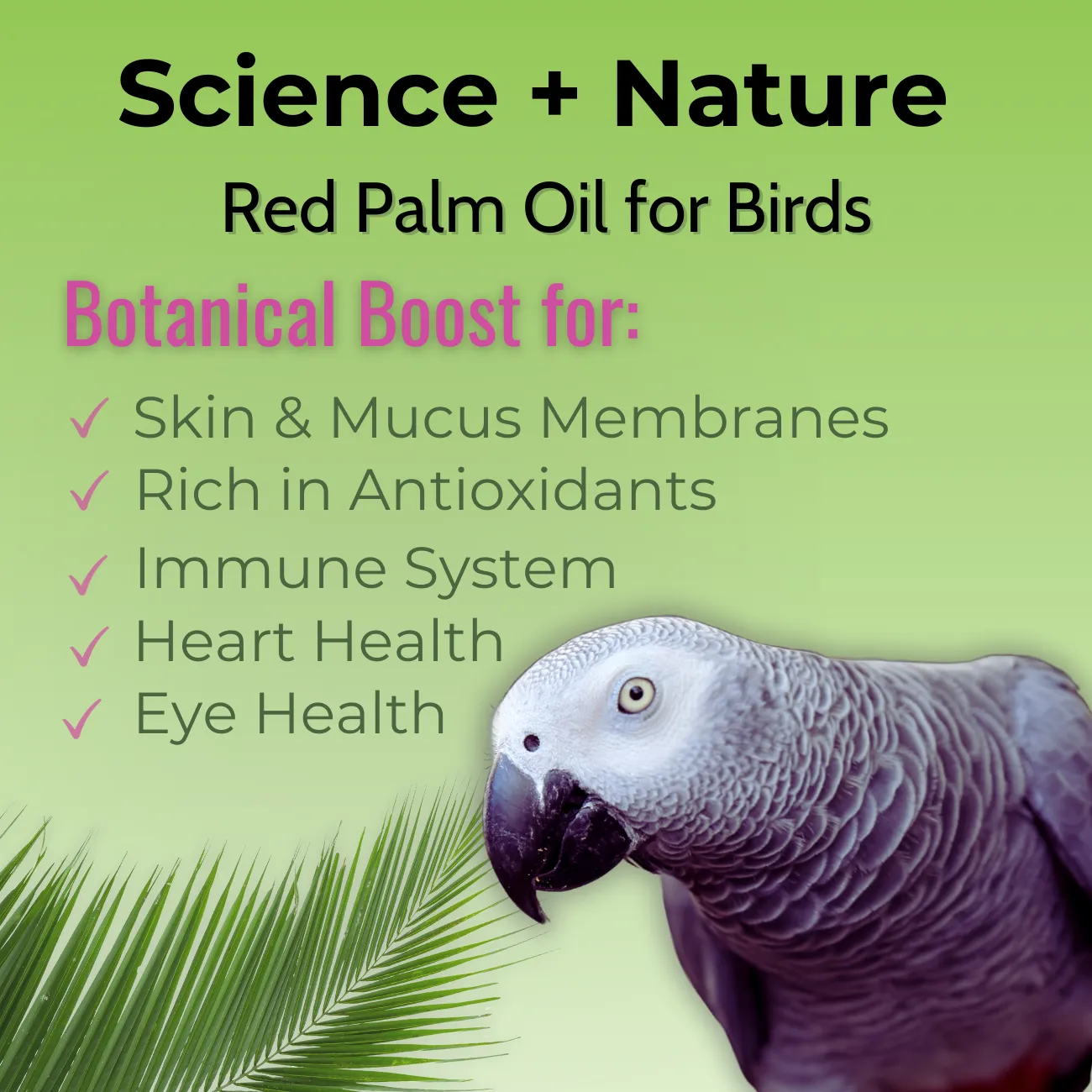 UnRuffledRx Red Palm Oil for Birds